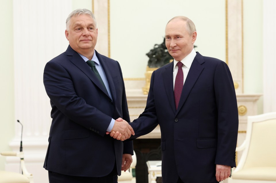 Russian President Vladimir Putin, right, and Hungarian Prime Minister Viktor Orban shake hands during a meeting in Moscow last year