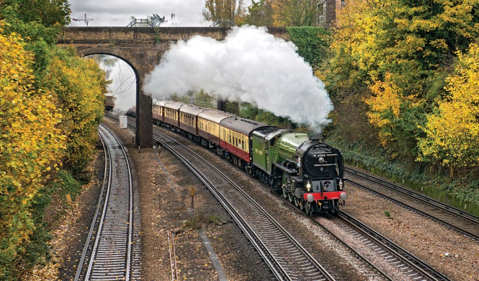 Steam train passing under a bridge.