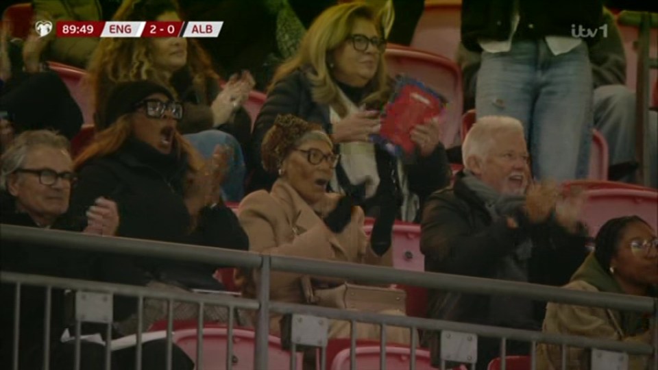 Spectators reacting excitedly in stadium seats.