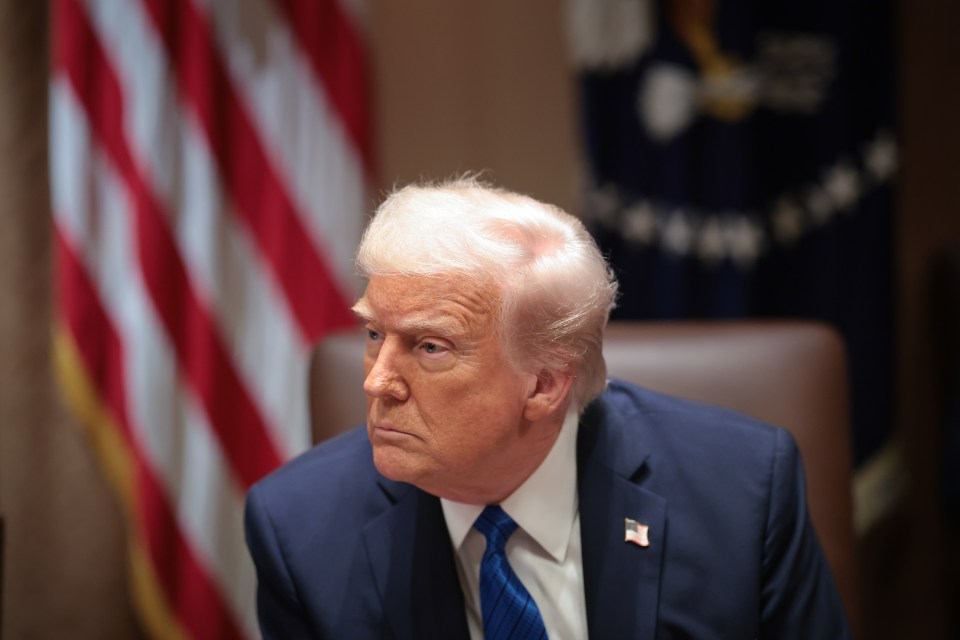 President Trump at a White House meeting.