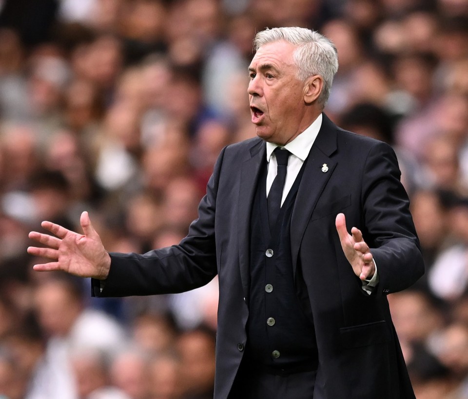 Carlo Ancelotti, Real Madrid head coach, gesturing during a game.