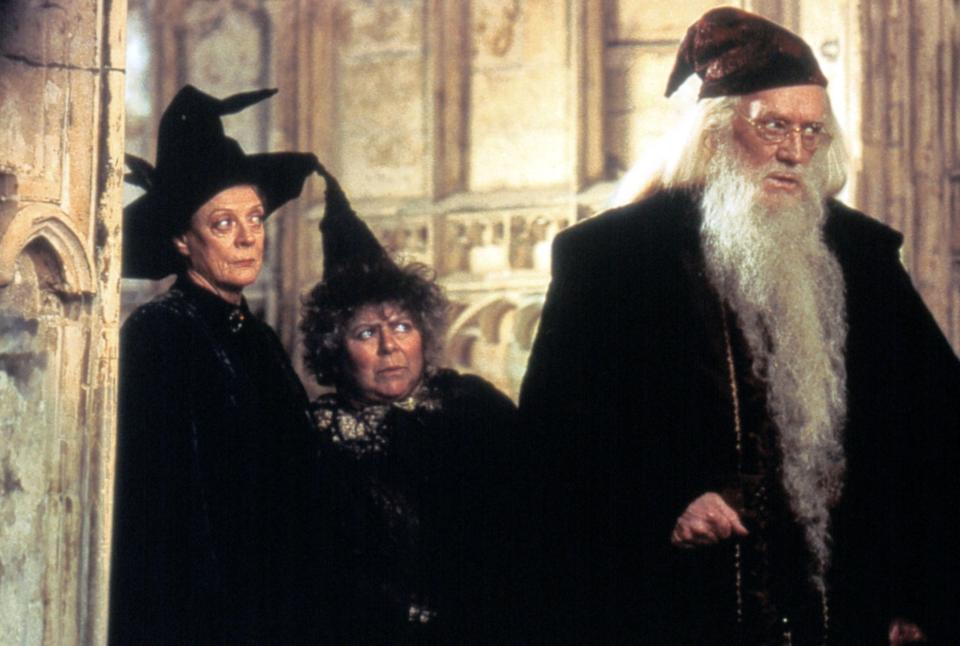 Scene from Harry Potter and the Chamber of Secrets showing Minerva McGonagall, Pomona Sprout, and Albus Dumbledore.