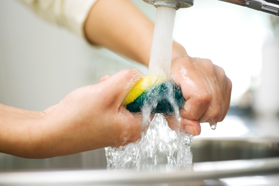 Person rinsing a sponge under a kitchen faucet.